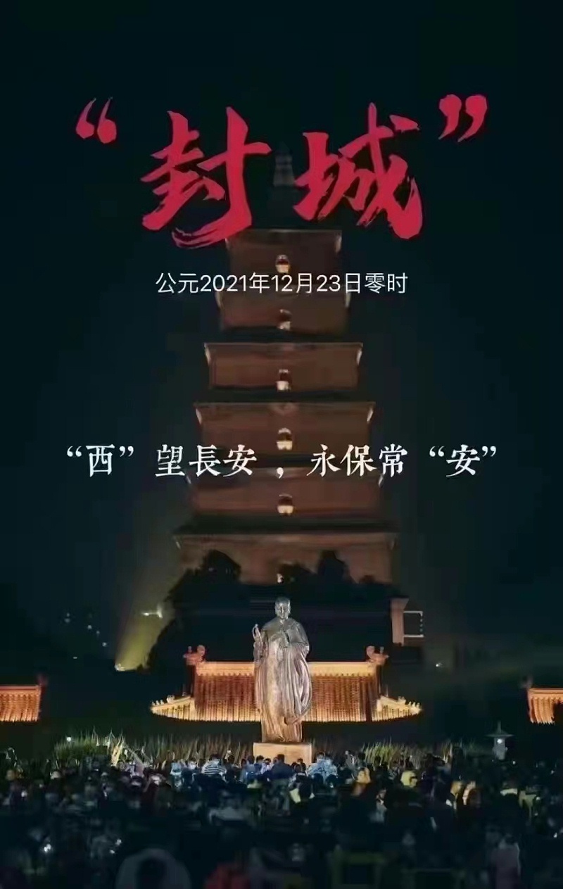 11.jpg 11.jpg